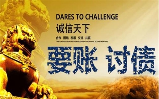 巢湖信贷风险化解：老司机亲测有效的司法催收与征信修复全攻略